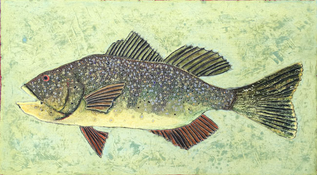 Wild Fish Study 1